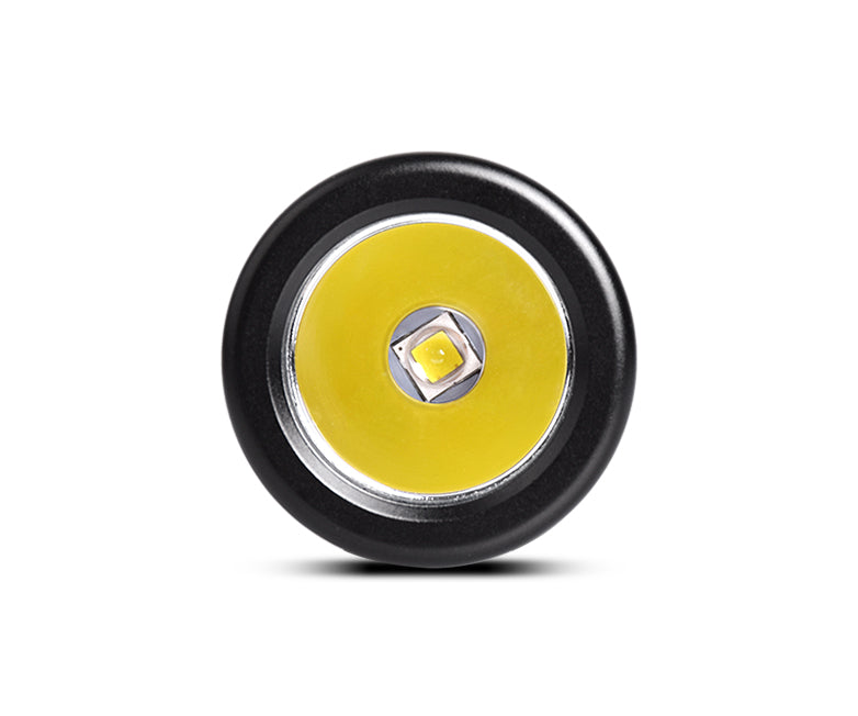 Orca Torch D520