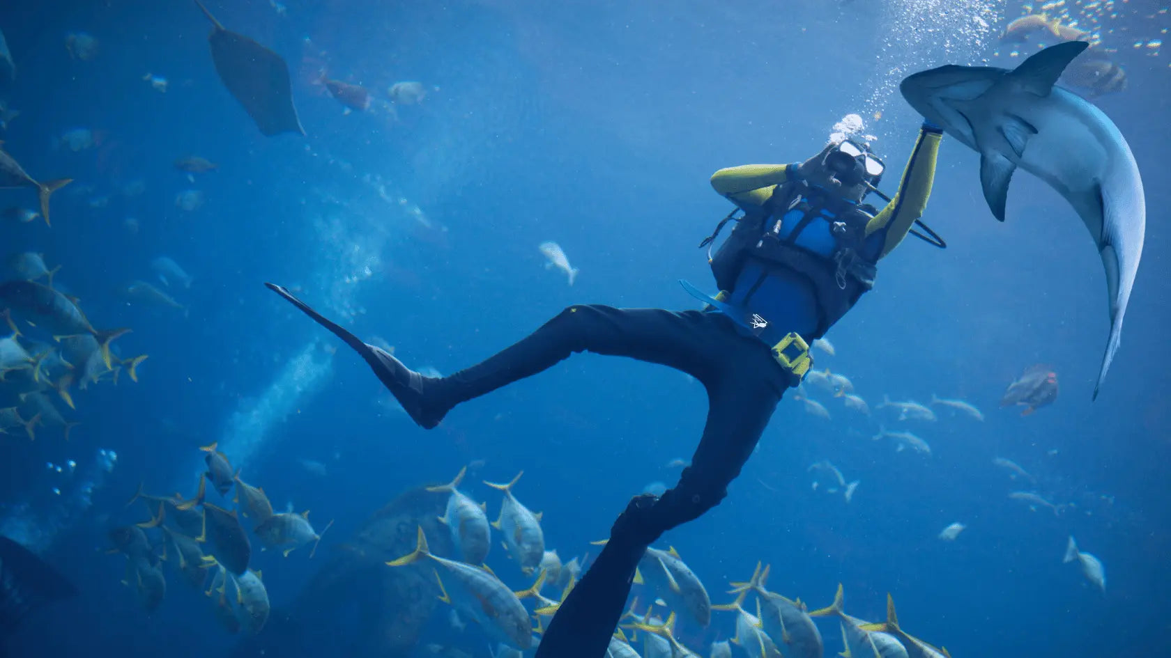 Exploring the Best Dive Sites in the UAE