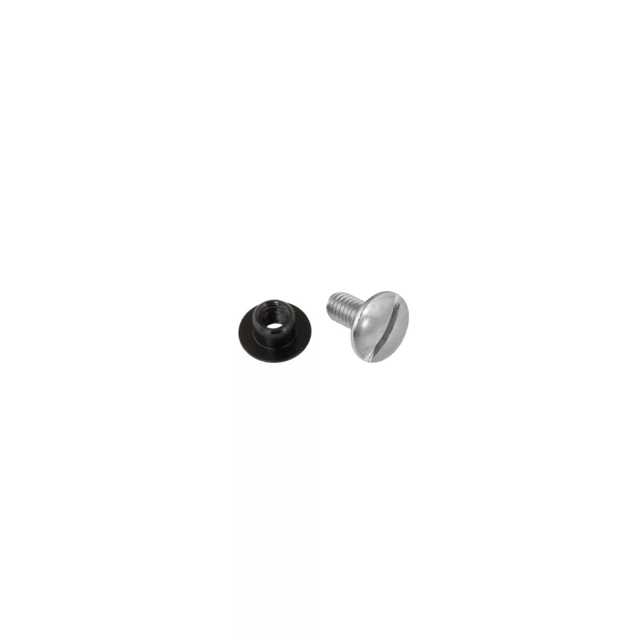 Tecline SS Bolt (12 Mm Long) With Delrin Nut